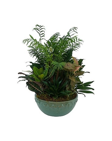 Large Dish Garden Flower Arrangement