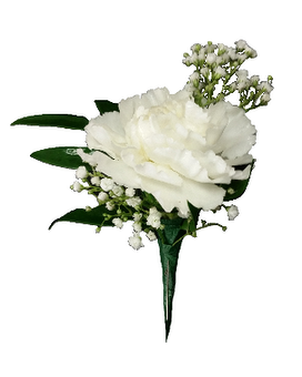 Standard size,  inches height and  inches wide.