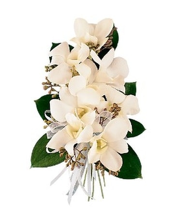 White Dendrobium Corsage Corsage