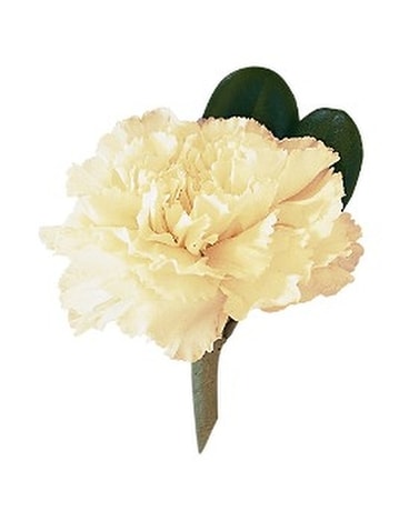 White Carnation Boutonniere Boutonniere