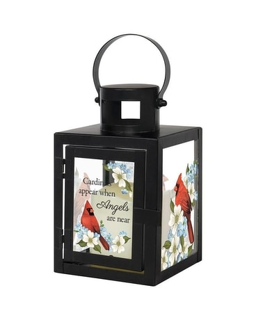 Cardinal Appears Lantern Gifts