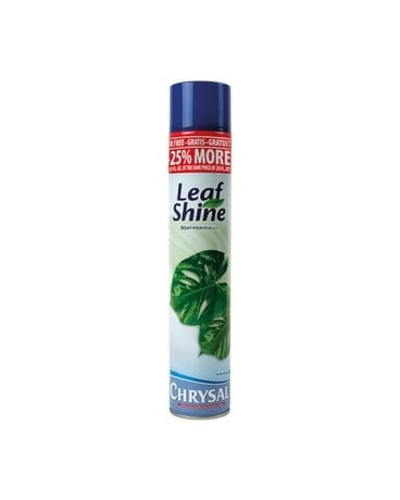 Leaf Shine Plant