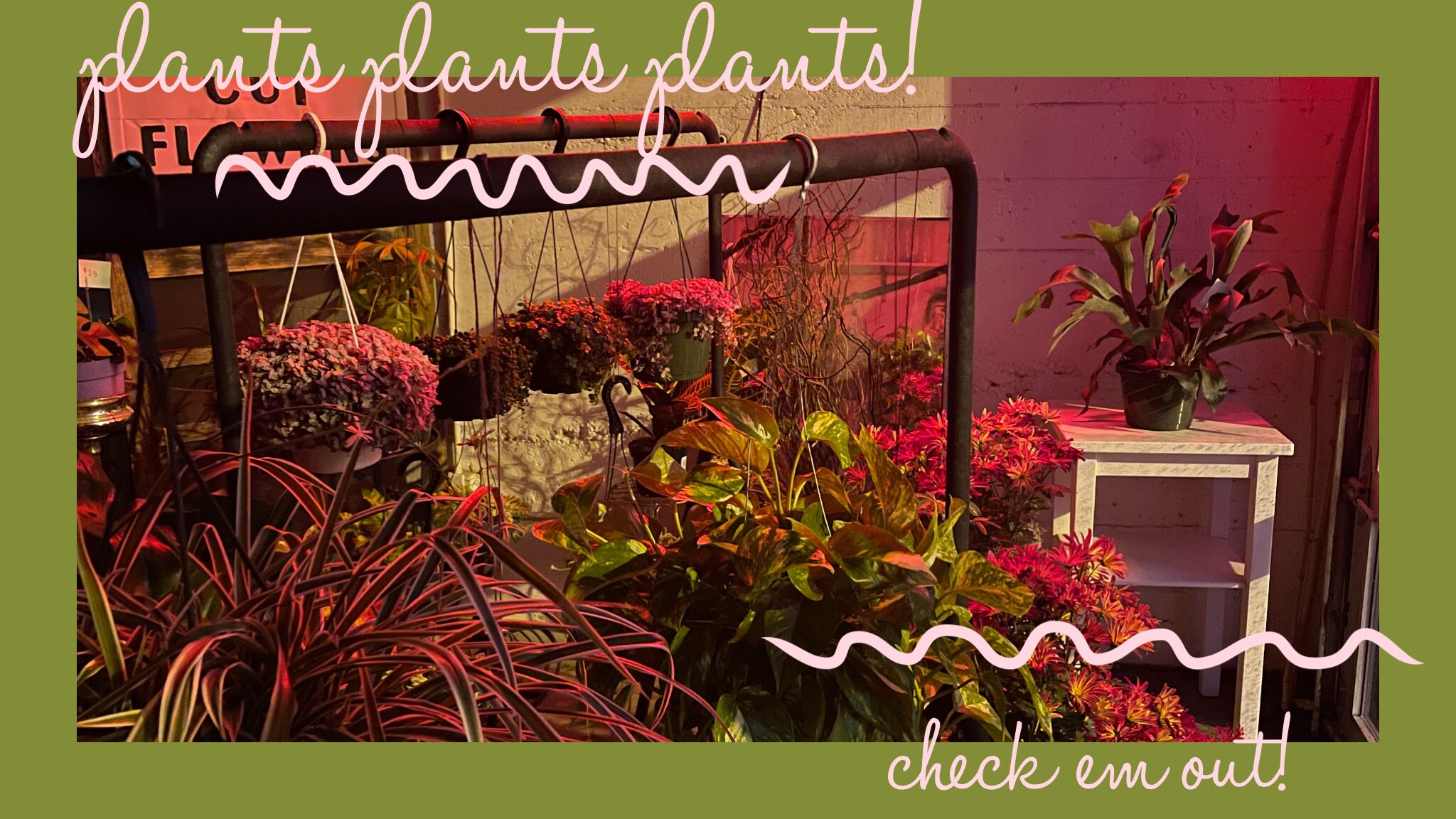 Flower Delivery to Portland by Grand Avenue Florist