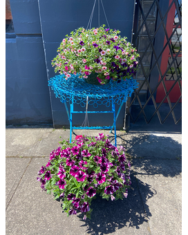 Hanging outdoor Basket (Color Will Vary) Plant