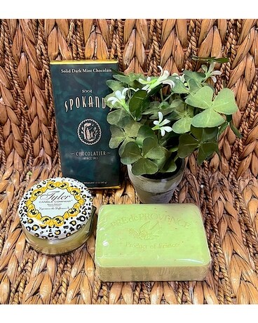 Shamrock Special Gifts