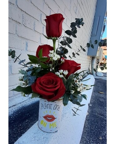 Plant One On Me Flower Arrangement