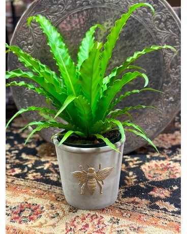 Bee My Queen Plant