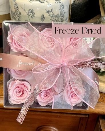Forever Love Box Set Dried Flowers