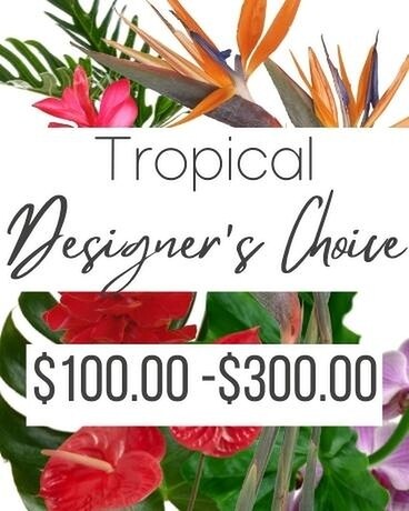 Designer's Choice Tropical Flower Arrangement