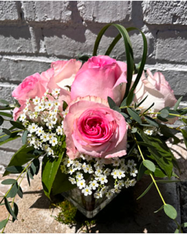 Standard size,  inches height and  inches wide.