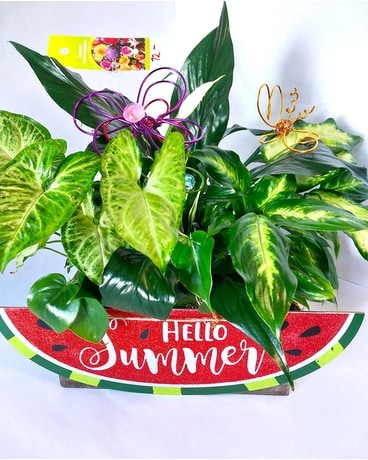 Summer Planter