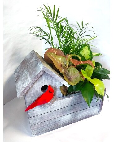 Bird House Garden Dish