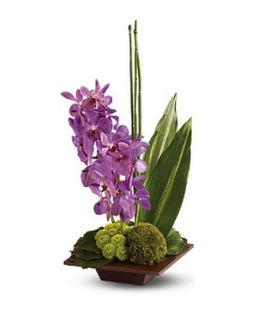Teleflora's Bamboo Tranquility Flower Arrangement