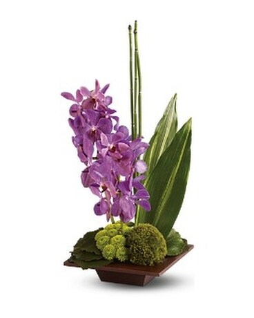 Teleflora's Bamboo Tranquility Flower Arrangement