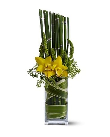 Orchid Light Flower Arrangement