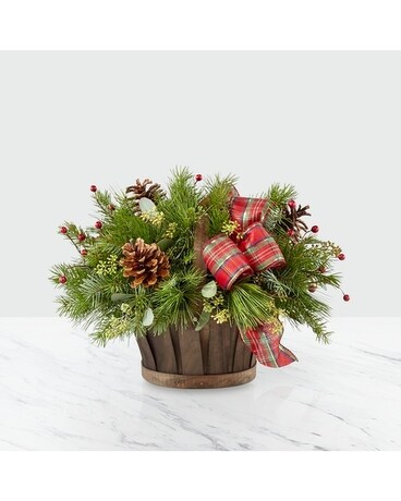 Christmas Coziness