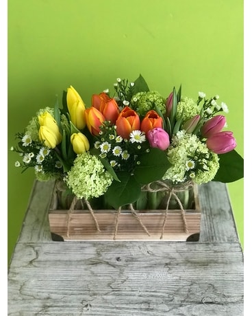 Spring trio Flower Arrangement