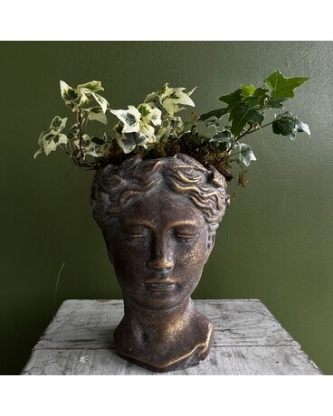 Garden Goddess Plant