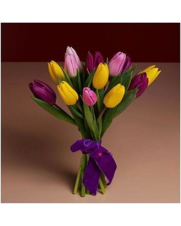 15 Tulips size,  inches height and  inches wide.