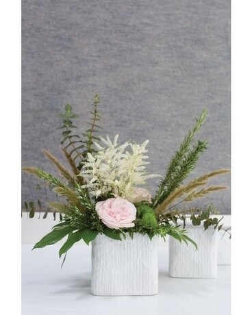 Linen Collection Gifts