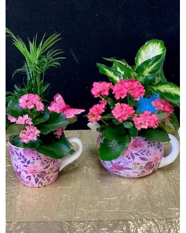 Pretty Planted Tea Pot and Teacup Flower Arrangement