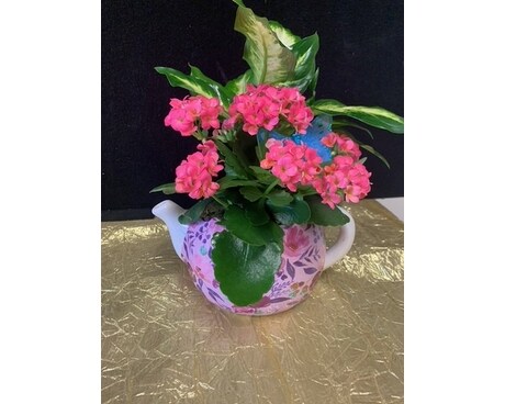 Splendid Teapot with Kalanchoe Flower Arrangement