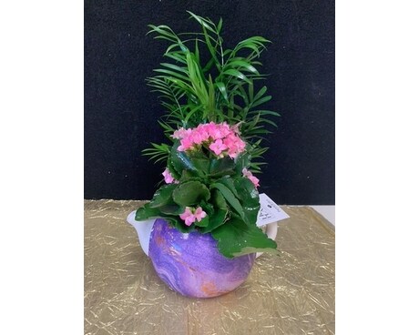Splendid Teapot with Kalanchoe Flower Arrangement