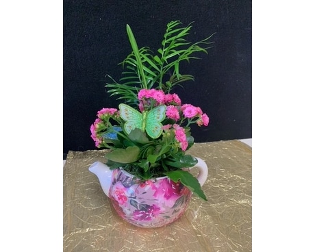 Splendid Teapot with Kalanchoe Flower Arrangement
