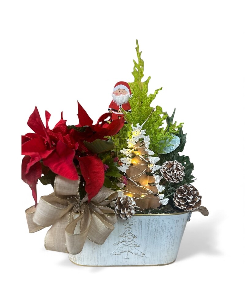 Christmas Flowers Delivery Windsor ON - Dak's Flowers