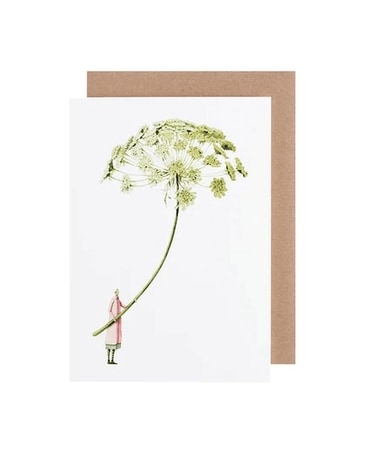 Ammi Flower Arrangement