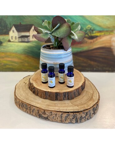 Essential Oils by Wyndmere Naturals Custom product