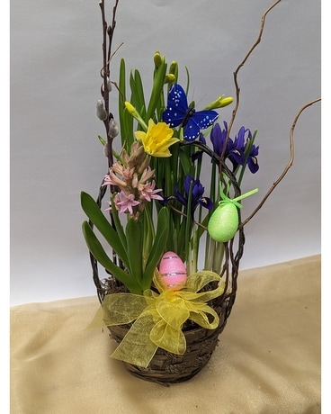 Spring In A Basket Dish Garden Plant