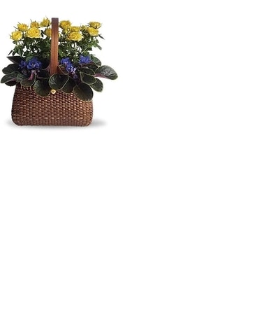 Garden To Go Basket Plant