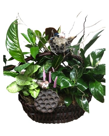 House Special Planter 8 Flower Arrangement
