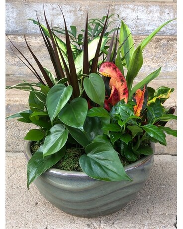 Ceramic Planter Large