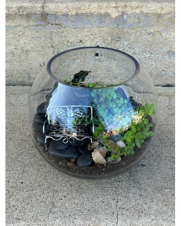 Walk in the Park Terrarium Plant