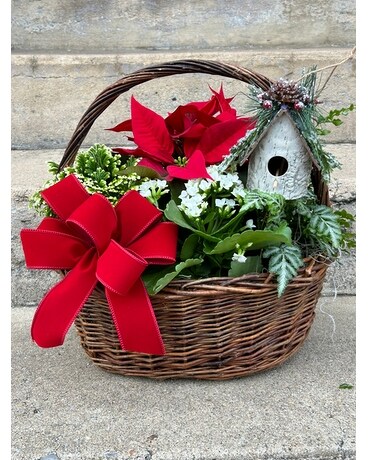 Season's Greetings Plant Basket Plant
