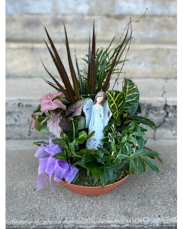 Angel of Grace Dish Garden Plant