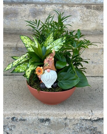 Fall Gnome Dish Garden Plant