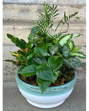 Ceramic Planter Extra Large Plant