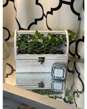English Ivy Terrarium and Candle Duo Custom product