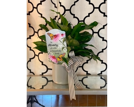Memory Peace Lily Plant