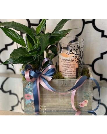 Forever Memories Rustic Planter Plant