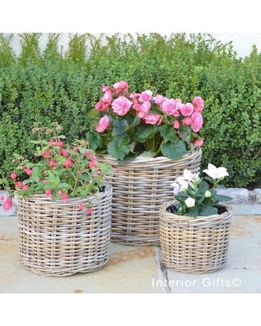 Woven Baskets Custom product