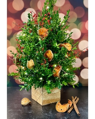 Lighted Cinnamon and Citrus Boxwood Tree Flower Arrangement
