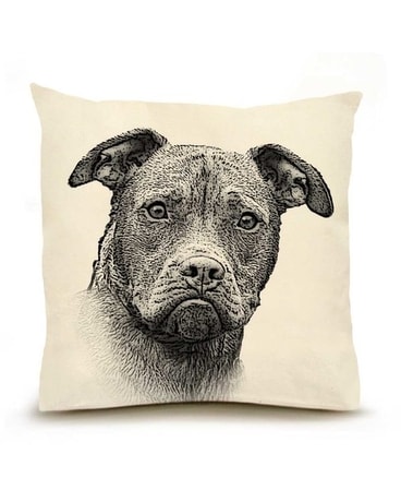 Pitbull Pillow 20 x 20 Gifts