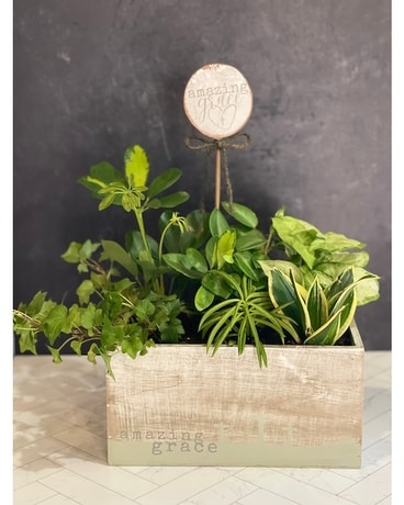 Amazing Grace Planter Flower Arrangement