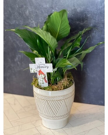 Serene, Loving, Memory, Peace Lily Planter Custom product