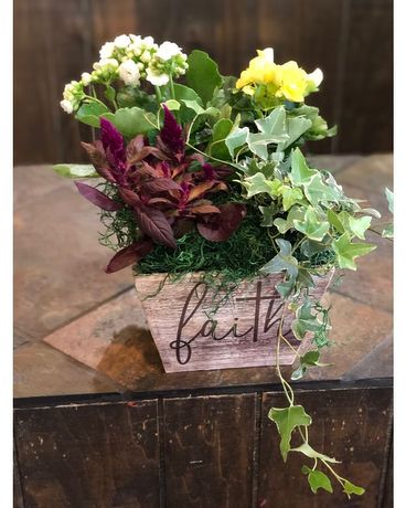 Faith Blooming Planter Dish Garden Plant