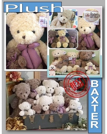 Baxter Bears Gifts